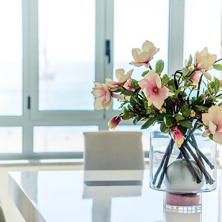 Apartment T3 Foz Norte